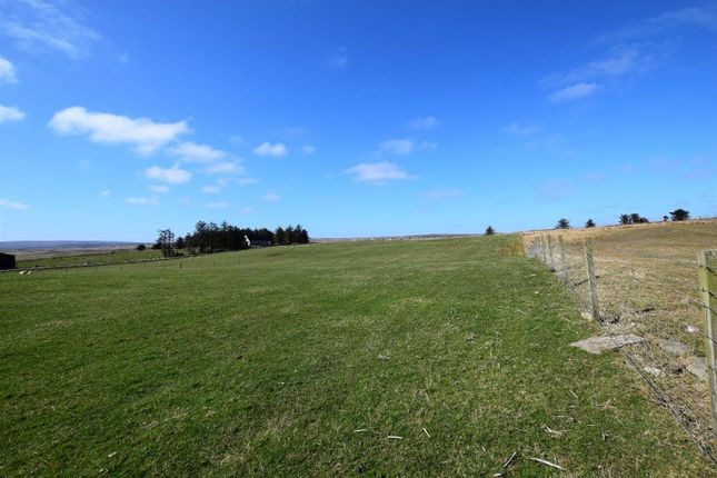 Thumbnail Land for sale in Lingland, Occumster, Lybster