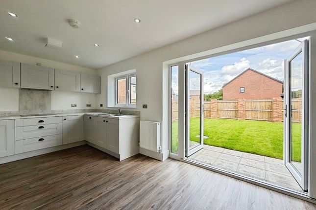 P42 - (Grace House Type), 52 Shoreham Drive, Amble photo 3