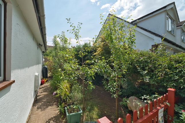 Dsc08799.Jpg