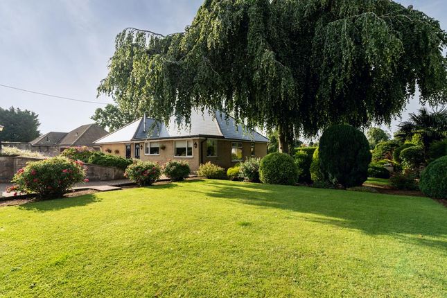 Exterior And Gardens