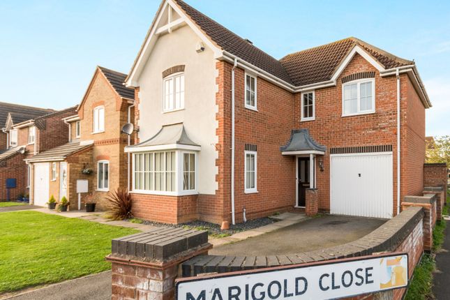 Thumbnail Detached house to rent in Marigold Close, Stamford