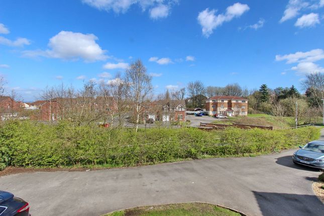 Greendale Drive, Manchester photo 2