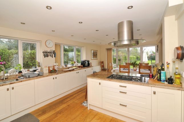 Park Cottage, Hooe Road, Battle photo 4