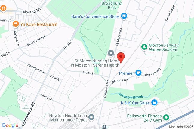 Google Maps Image