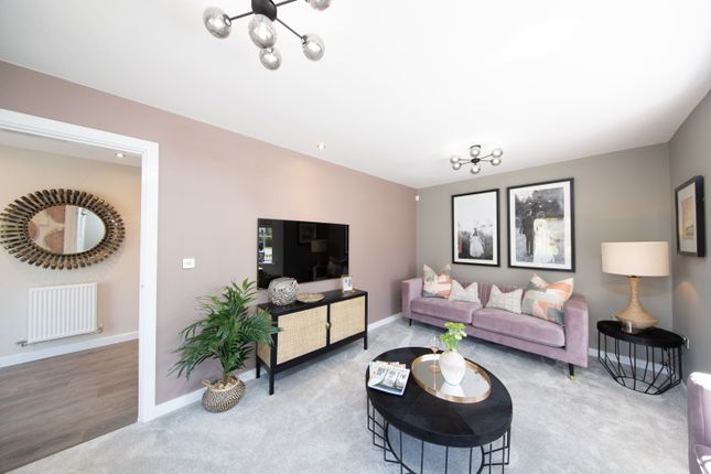 Showhome Photography