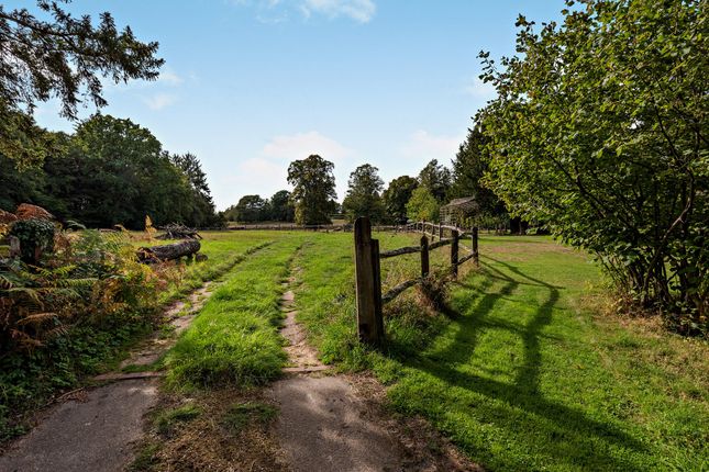 Stream Cottage,, Thursley Road, Farnham photo 3