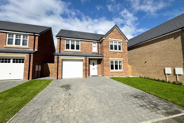 Thumbnail Detached house for sale in Oaklands Rise, Etherley Moor, Bishop Auckland, Durham