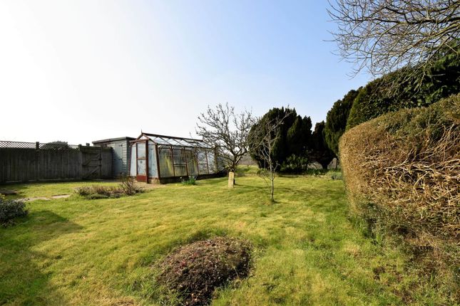 Bungalow to rent in Dubbers, Ventnor