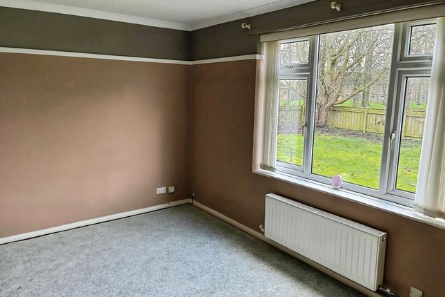 12, Grange Road, Beverley photo 5