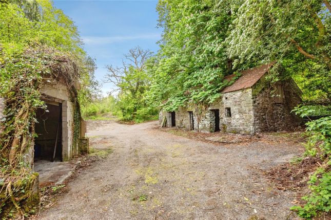 Tynybedw,, Llanafan, Ceredigion photo 2