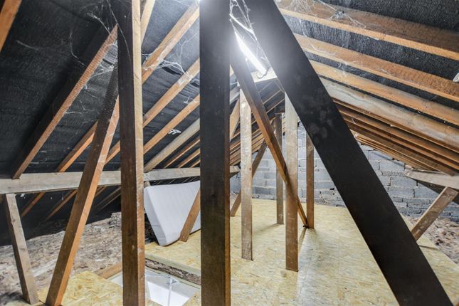 Attic_1.Jpeg