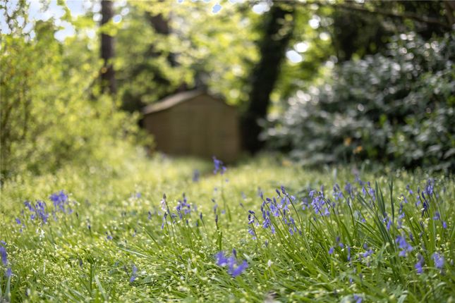 Garden Feature