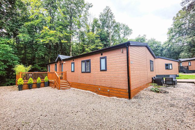 Thumbnail Lodge for sale in Riverview, Lowther Holiday Park, Eamont Bridge, Penrith