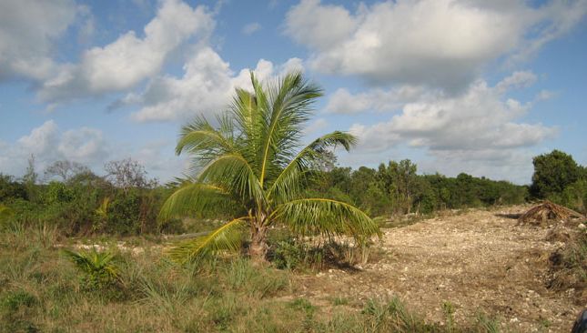 Land for sale in Wemyss Bight, Eleuthera, The Bahamas