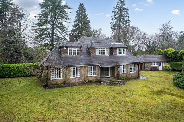 Beech Hill, Hedgehog Lane, Haslemere photo 2
