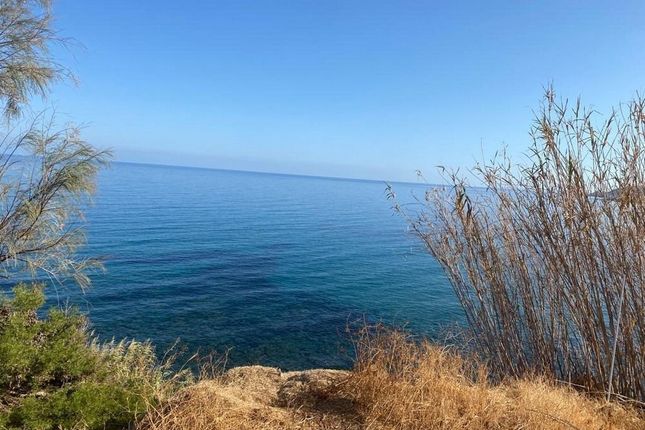 Thumbnail Land for sale in Pomos, Cyprus