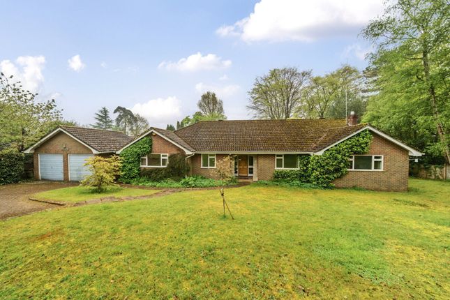 Detached bungalow for sale in Dell Close, Haslemere
