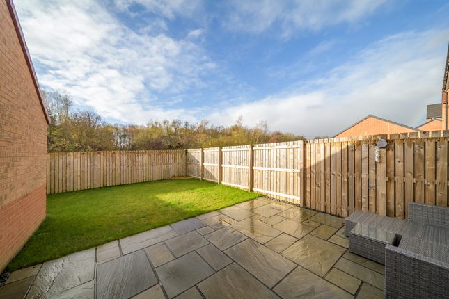 31 Charles Drive, Morpeth photo 2