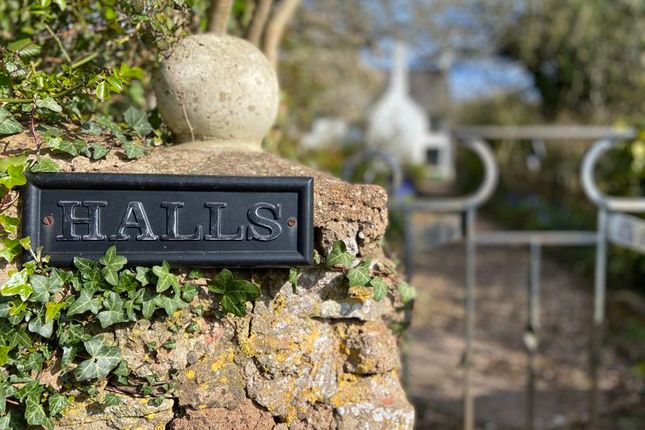 Detached house to rent in Halls Cottage, Fitzhead, Taunton