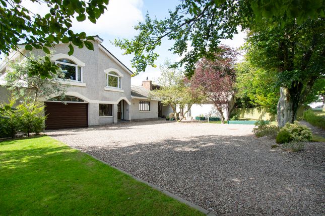 Willowbank House, Tarriebank, Arbroath photo 3