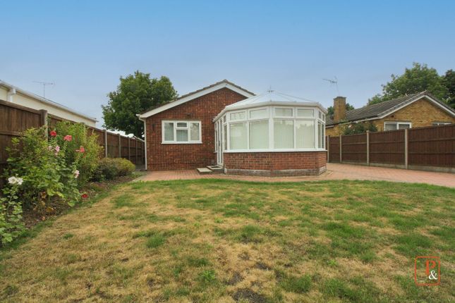 Thumbnail Bungalow to rent in Temple Court, St Johns, Colchester, Essex