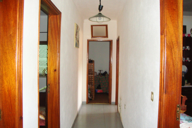 Detached house for sale in Proença-A-Nova, Proença-A-Velha, Idanha-A-Nova, Castelo Branco, Central Portugal