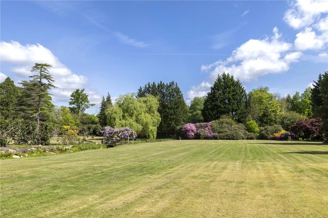 Garden And Grounds