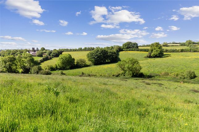 Land &amp; Views