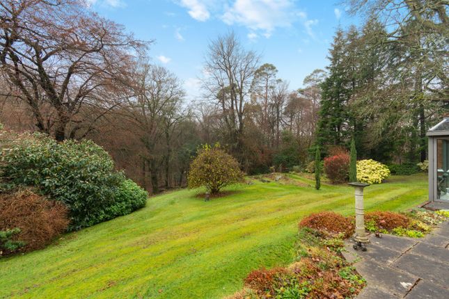 Detached house for sale in Sheephouse Lane, Abinger Common, Dorking, Surrey