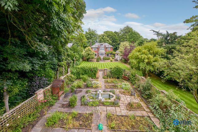 Back Garden