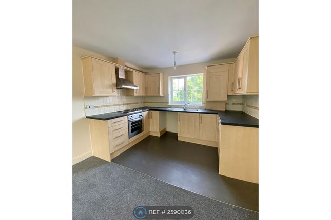 Open Plan Living: Kitchen Area