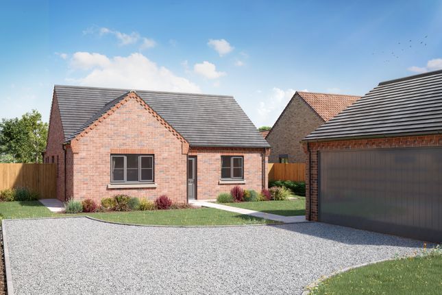 Brand New Bungalows, Maple Way, Spalding photo 2