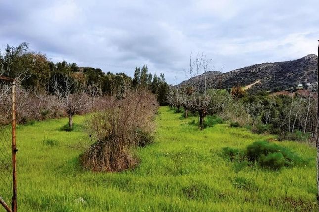 Land for sale in Psematismenos, Cyprus