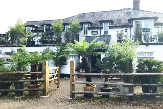 Thumbnail Country house for sale in Brandis Corner, Holsworthy, Devon