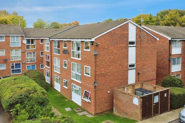 User_Edited_Photo-Bee9B5E9_User-Edited-3d2Aeb17-61