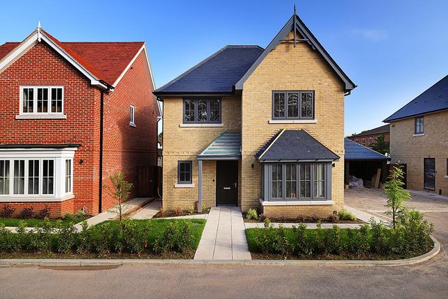 Thumbnail Detached house for sale in Field Way, Ripley, Woking