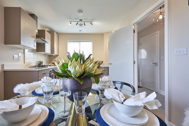 Terraced house for sale in "The Eveleigh" at Alan Peacock Way, Middlesbrough