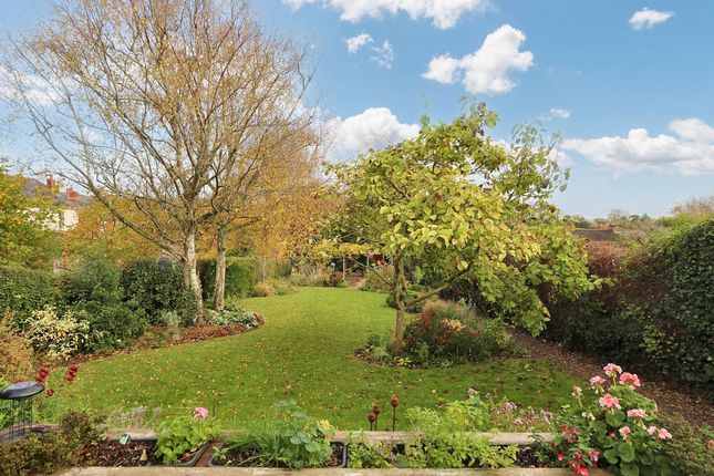 Regent Cottage Beeches Hill, Southampton photo 3