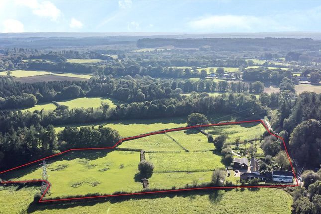 Thumbnail Equestrian property for sale in Pye Lane, Cranborne, Wimborne