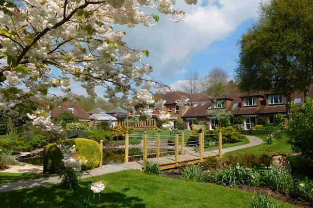 1 Bedroom Flats To Let In Winchester Primelocation