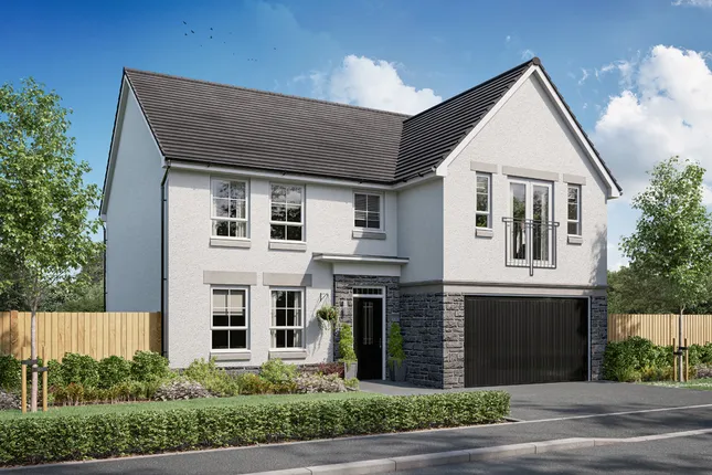 David Wilson Homes - Torrance Park