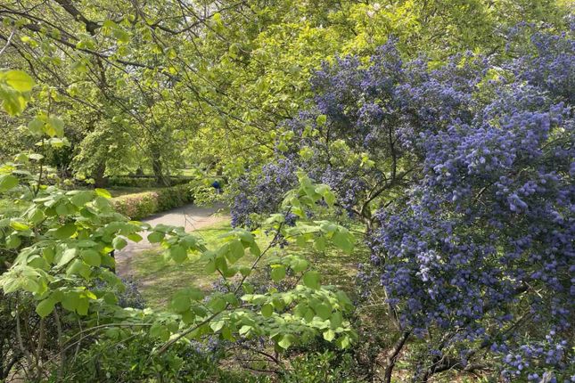 7, Margravine Gardens, London photo 5