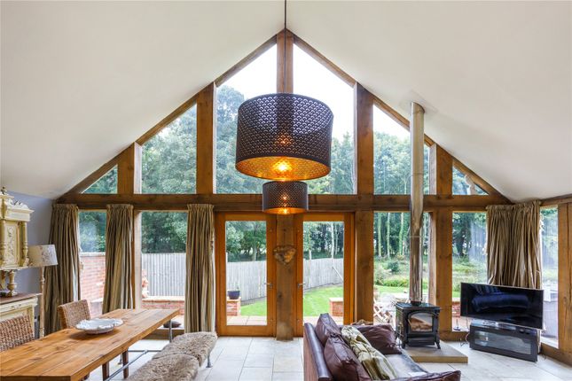 Lily Pad Lodge