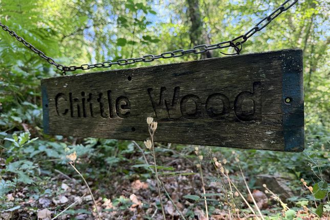 Chittle Wood, Umberleigh photo 2