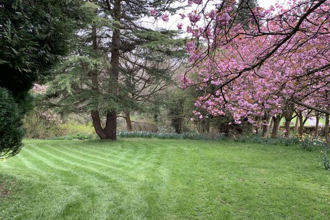 Exterior And Gardens