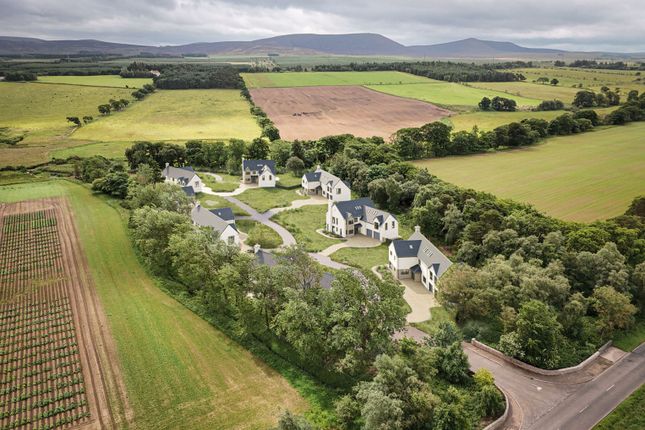 The Hazel, 7 Inveroe Steadings, West Lothian photo 2