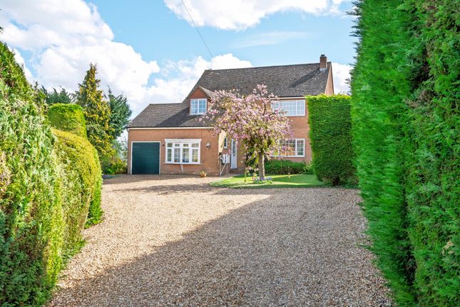 Front &amp; Driveway