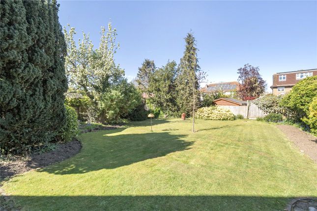 4, Lime Tree Avenue, Thames Ditton photo 3