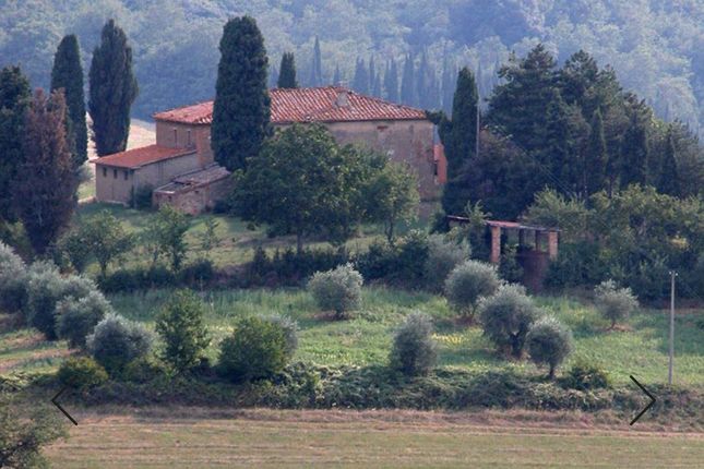 Thumbnail Country house for sale in Via di Ciliano, Torrita di Siena, Toscana