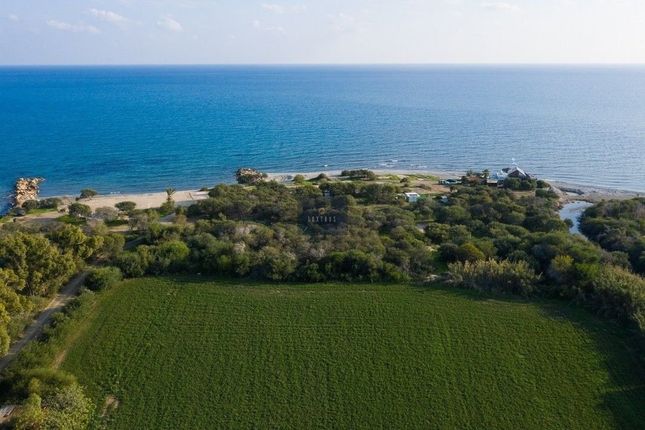 Thumbnail Land for sale in Mazotos, Cyprus